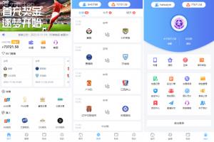 多语言 反波娱乐综合系统 Uni-App反波胆系统 二开版反波胆系统